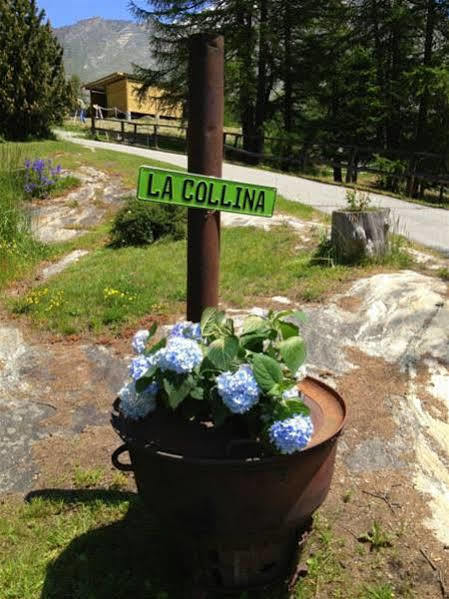 Hotel La Collina Saas-Fee Ngoại thất bức ảnh